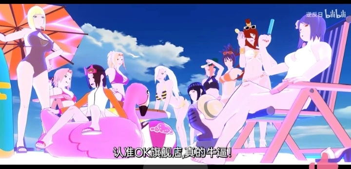 2455 - 图片来源