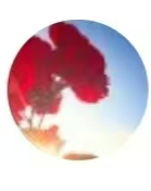 3112 - 图片来源