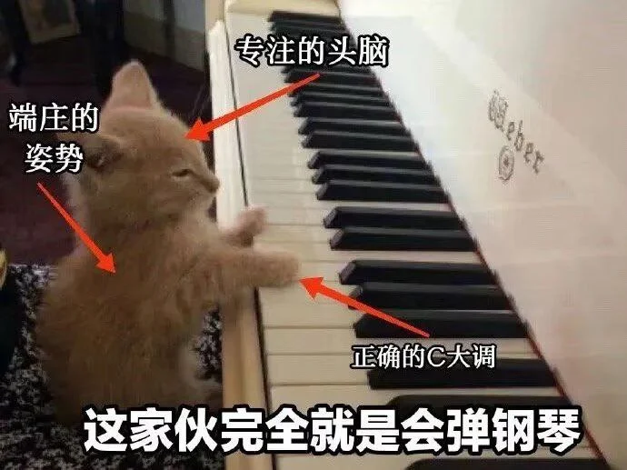 3763 - 图片来源