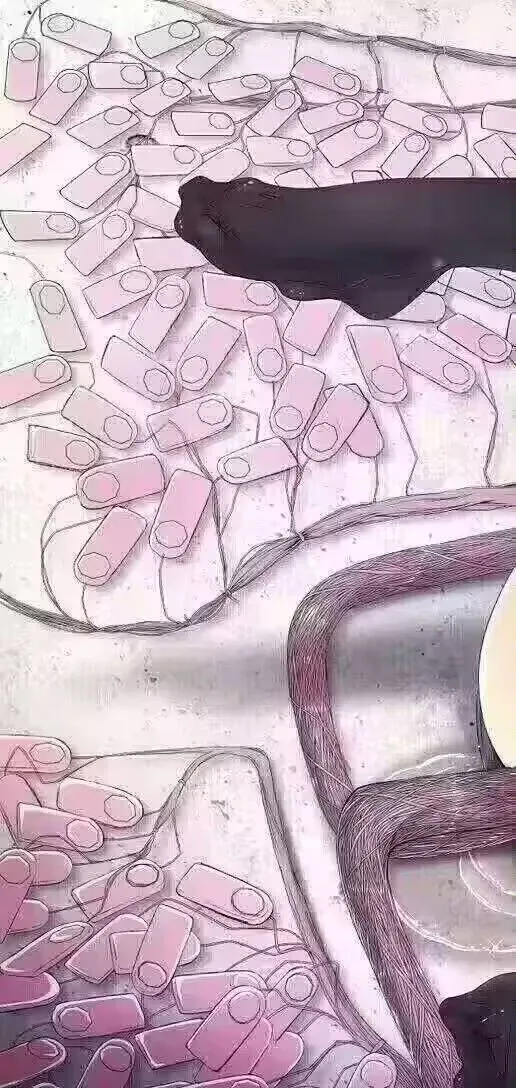 3949 - 图片来源
